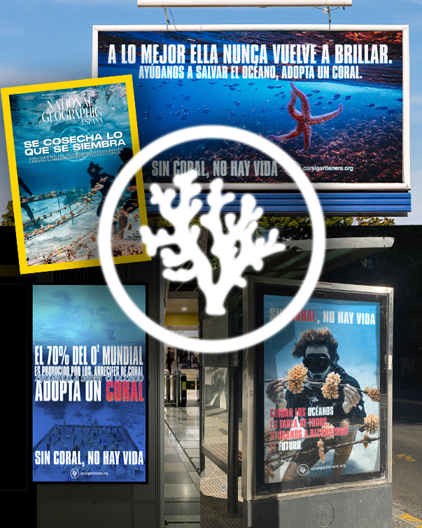 proyecto coral gardeners 